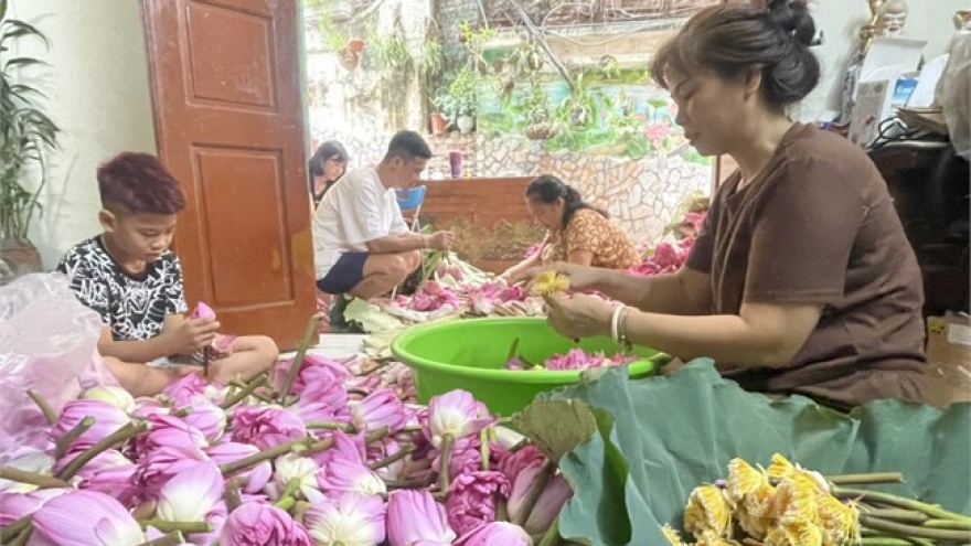 Khám phá nghệ thuật ướp trà sen Tây Hồ - tinh hoa văn hóa người Hà Nội